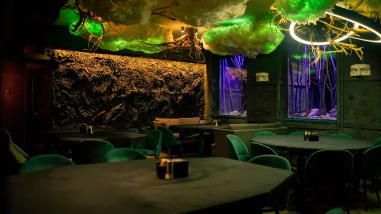 Bar à cocktails immersif à l'ambiance tamisée à Paris